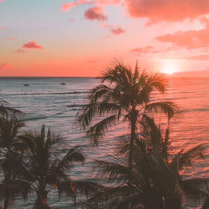 A vibrant tropical sunset over the ocean with palm trees in the foreground, warm pink clouds, and calm waves.